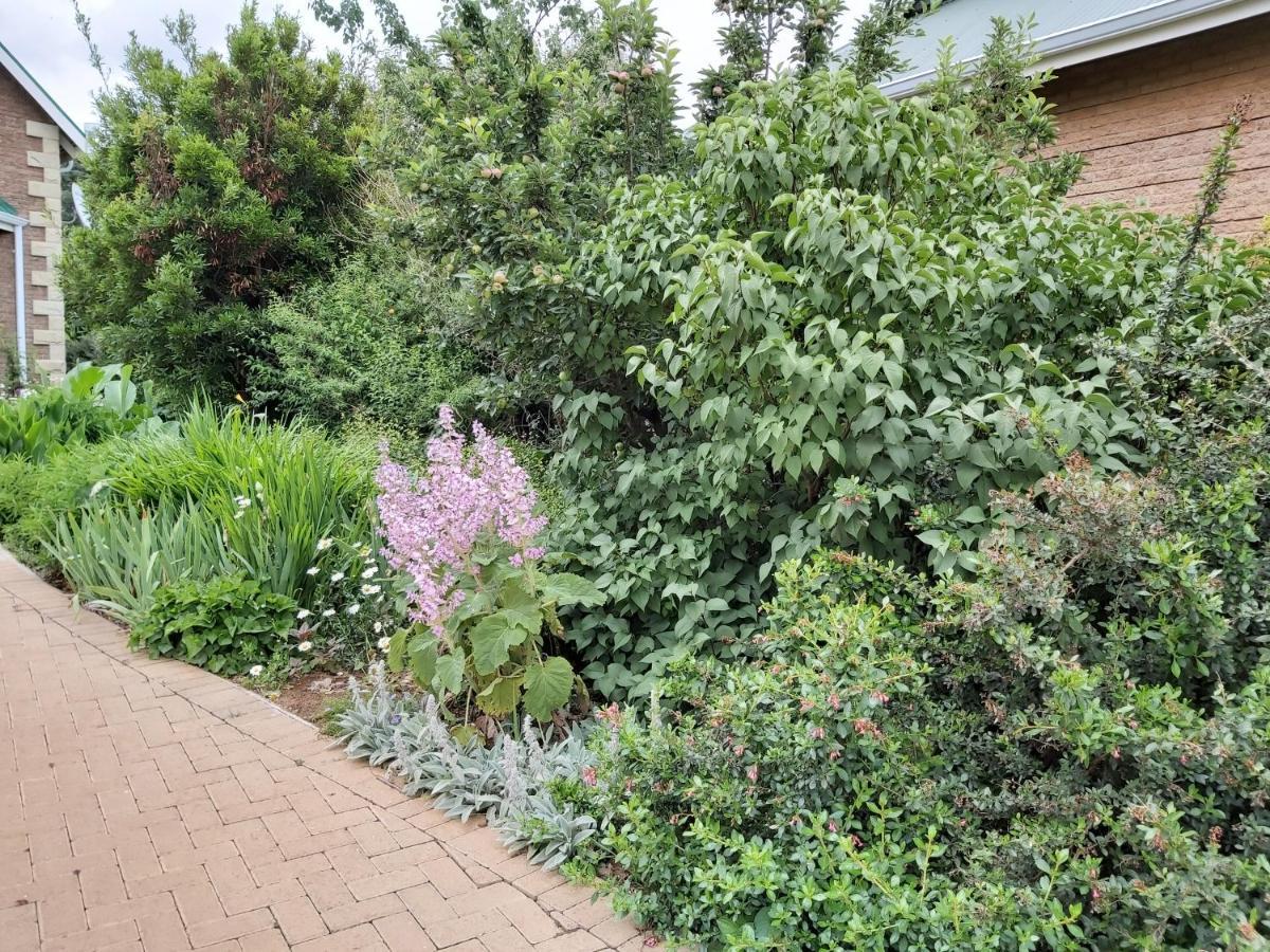 Clarens Mountain Sage Holiday House Eksteriør billede